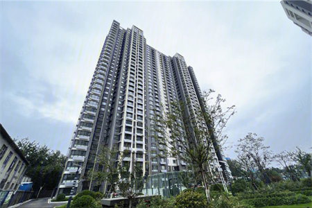 佛山小学东邻港基东原华府电梯房送储藏室全款付
